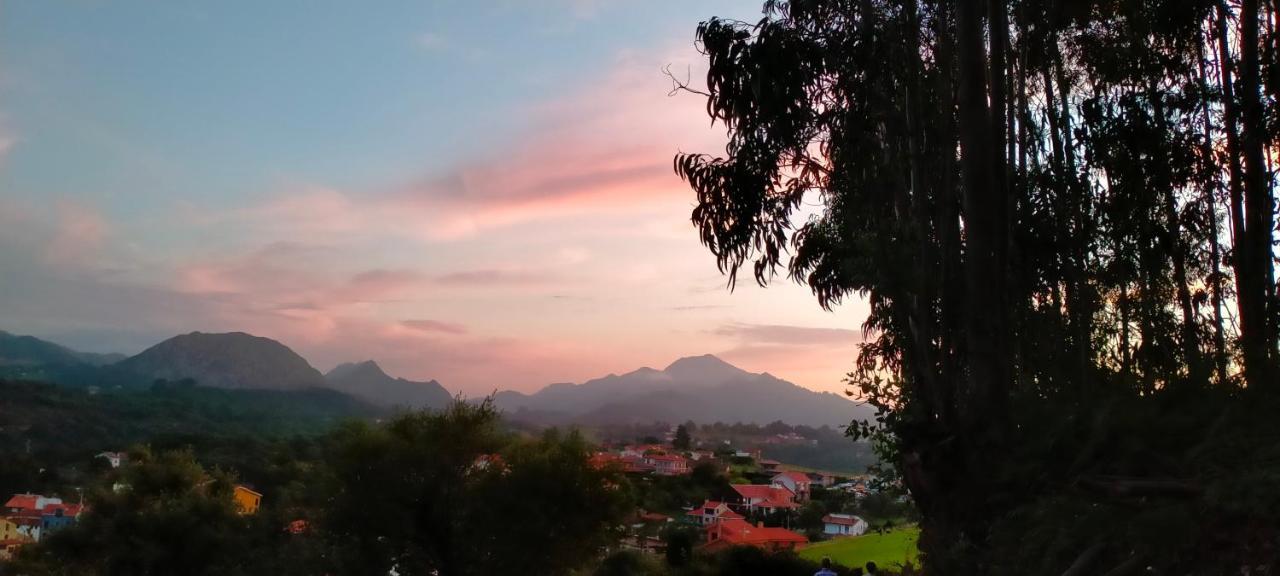 Tereñes Tiu Xico 게스트하우스 외부 사진